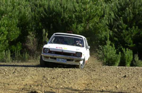 rally gemini